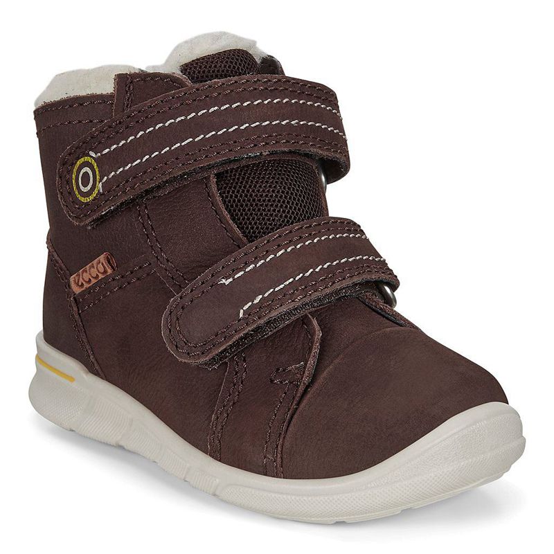Kids ECCO FIRST - Boots Brown - India WLKFIQ901